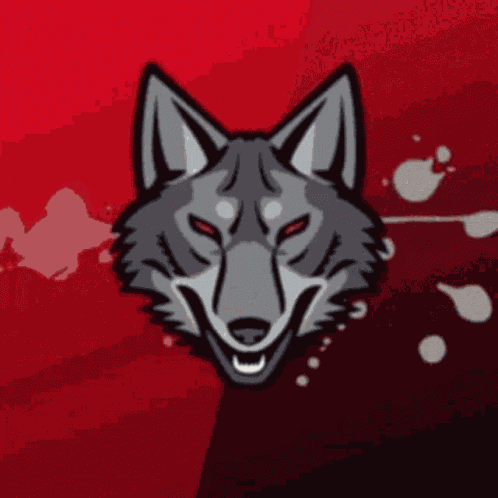 Coyote Crownaco GIF