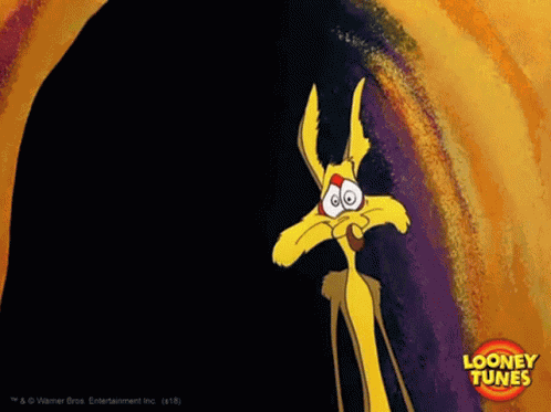 Coyote Stop In The Name Of Humanity GIF