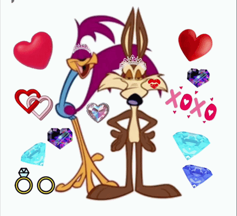 Coyotes Wile E Coyote GIF