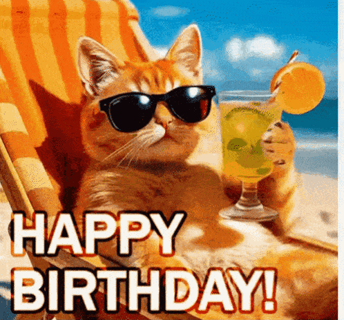 Crazy Cat GIF