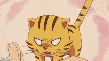 Crazy Cat Tiger GIF