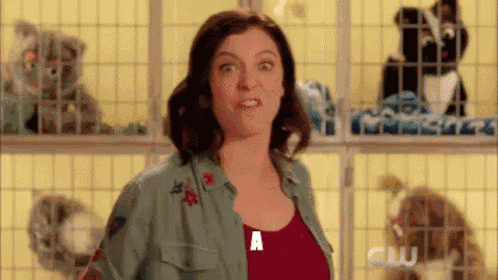 Crazy Ex Girlfriend Fuckton Of Cats GIF