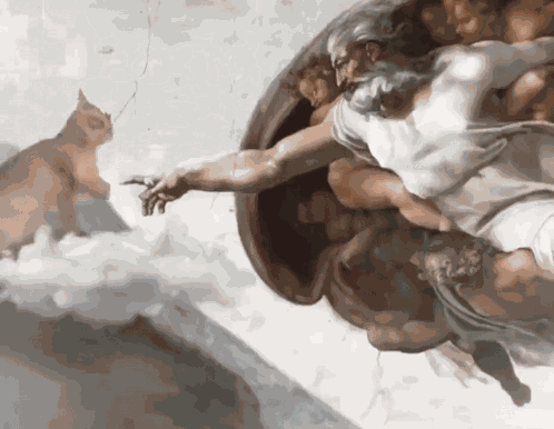 Creation Of Adam Cat GIF