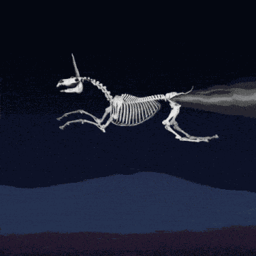 Creatures Funny Animals GIF