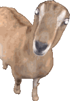 Creepy Creepy Goat Sticker