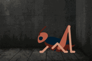 Cricket Crickets GIF