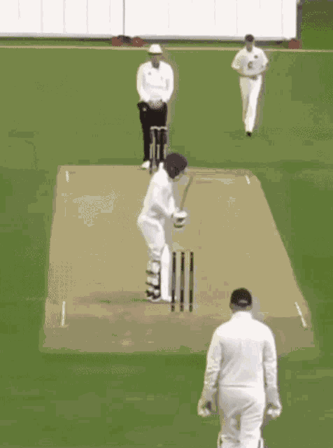 Cricket Stumps GIF