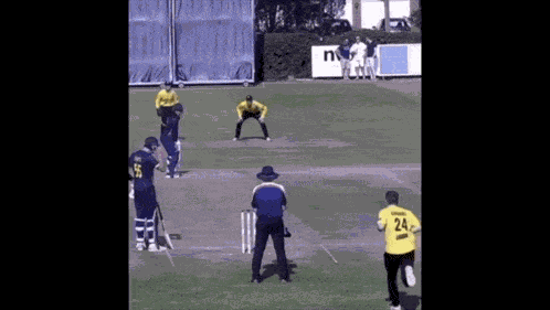 Cricket Wicketkeeper Catch Jack Grundy Middleton Good Catch Cricket Wicketkeeping GIF