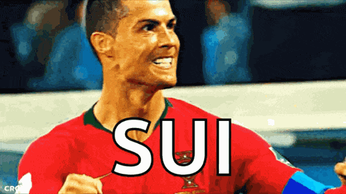 Cristiano Ronaldo Ronaldo Portugal GIF