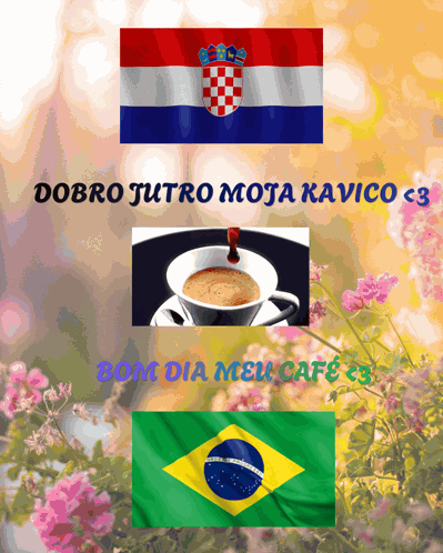 Croatia Brasil GIF