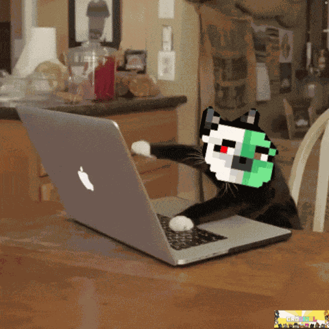 Croginal Hacking GIF