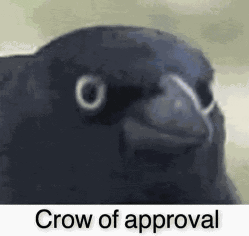 Crow Approve Meme