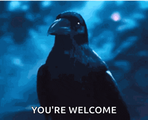 Crow Bow GIF