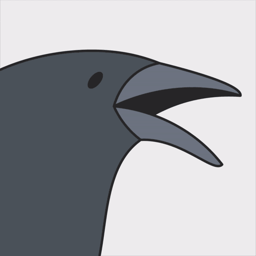 Crow Crows GIF