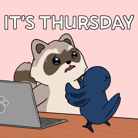 Crow Raccoon GIF