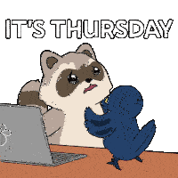 Crow Raccoon Sticker