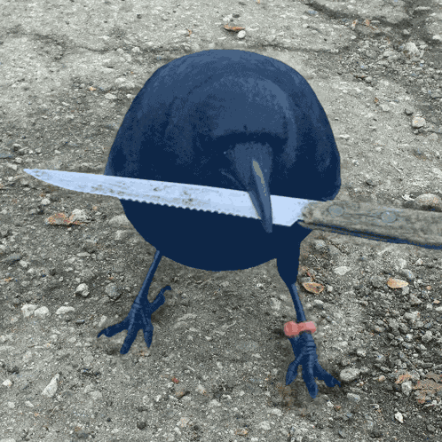 Crow With Knife Caw GIF