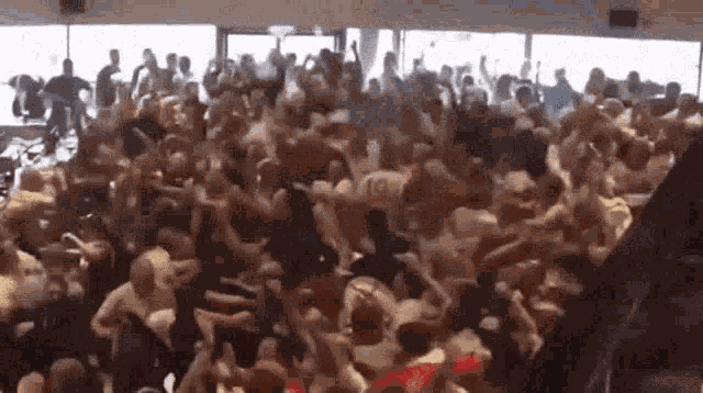 Crowd Cheering Crowd GIF