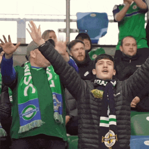 Crowd Cheering Northern Ireland GIF