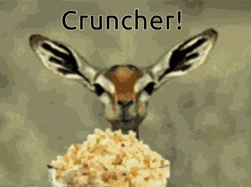 Cruncher1989 Crunchervl GIF