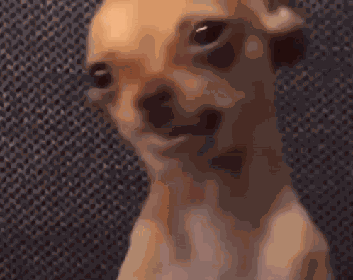 Crying Dog Dog Meme GIF
