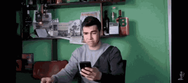 Csabika Shades Off GIF