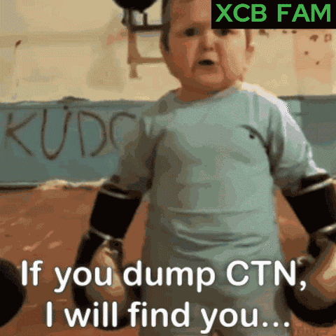Ctn Dump Ctn Crypto GIF