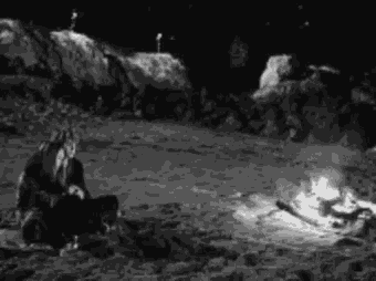 Cuddle Beach Fire GIF