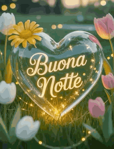 Cuore Cuore Innamorato GIF