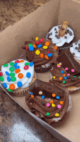 Cupcakes Dessert GIF
