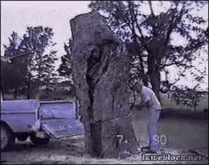 Cut Trunk GIF