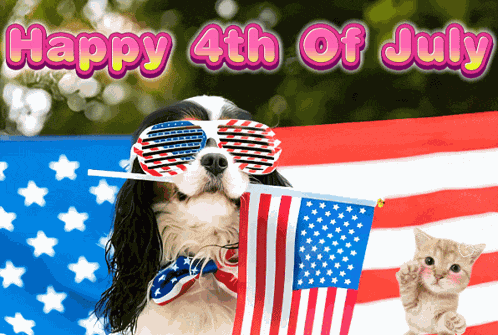 Cute 4th Of July Happy 4th Of July GIF