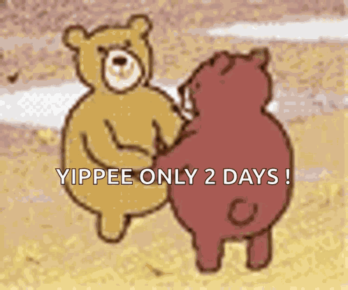 Cute Bears GIF