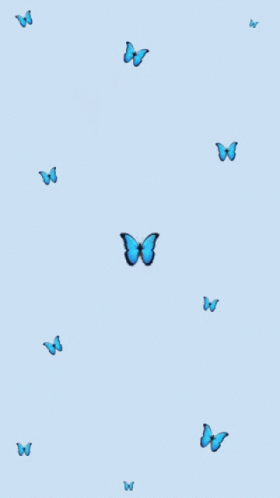 Cute Butterfly GIF
