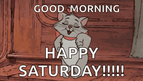 Cute Cat GIF