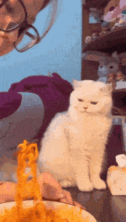 Cute Cat Cat Noodles GIF