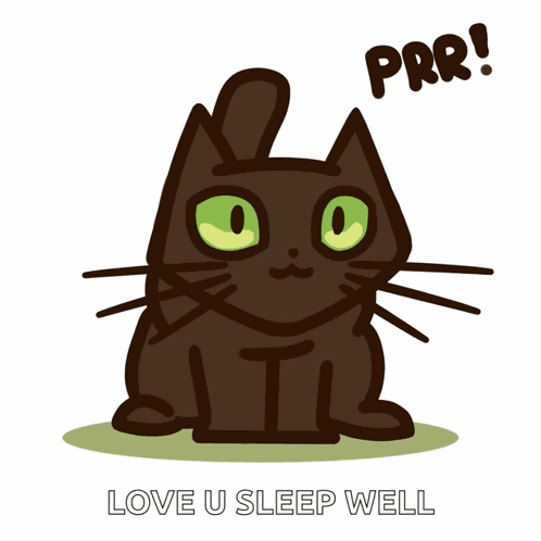 Cute Cat Funny Cat GIF