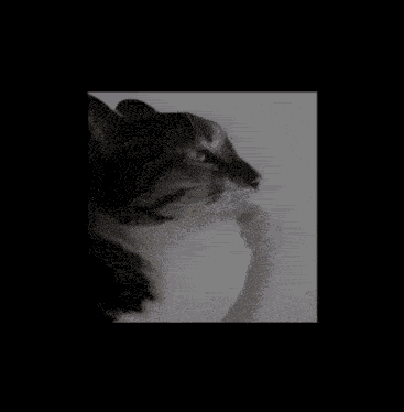 Cute Cat Madebynami GIF