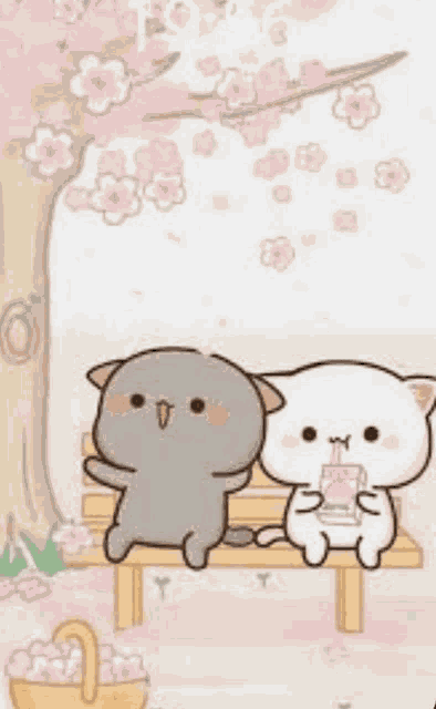 Cute Couple Pic Meme