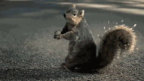 Cute GIF