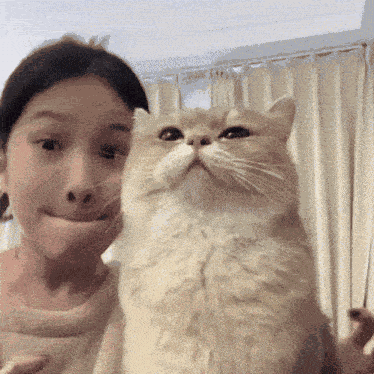 Cute Cuteness Overload GIF