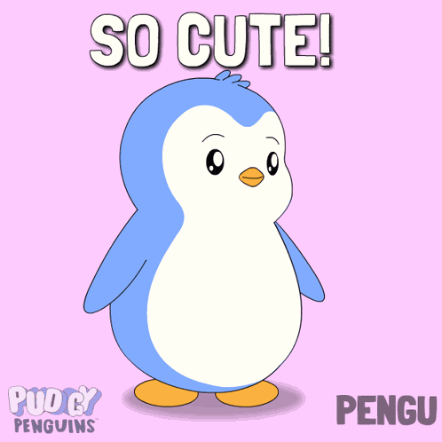 Cute Cutie GIF