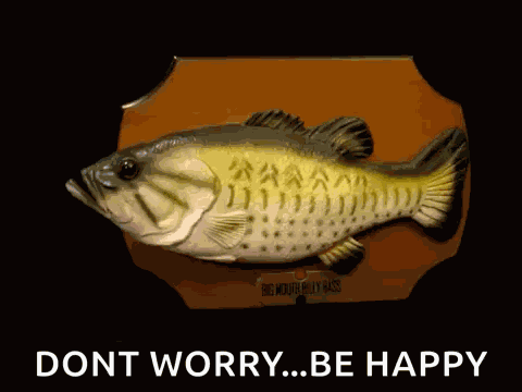 Cute Funny GIF