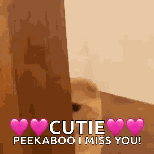 Cute Hide GIF