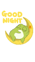 Cute Night Sticker