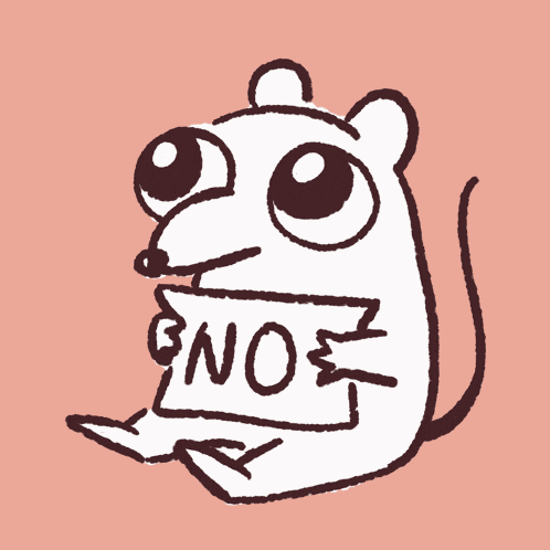 Cute Rat No GIF