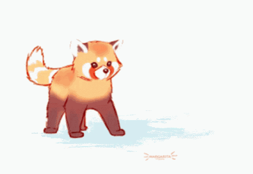 Cute Red Panda GIF