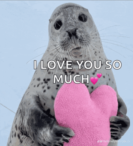 Cute Seal Meme