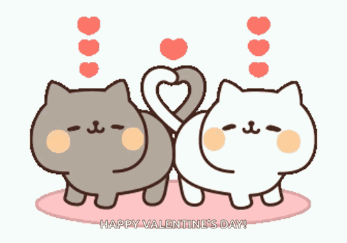Cutecats Kitten GIF
