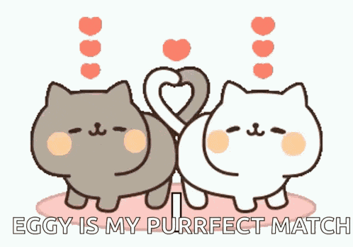 Cutecats Kitten GIF